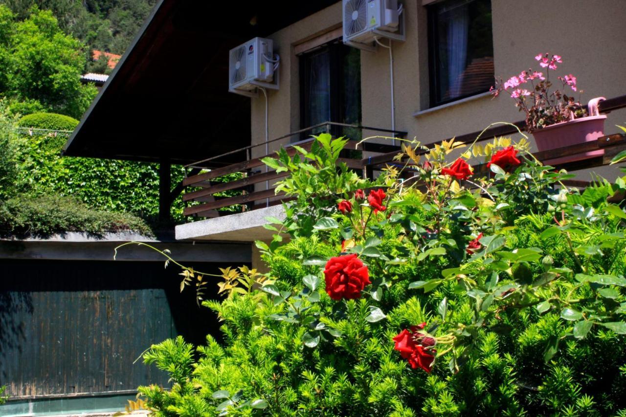 Na Kopitarjevi Hotel Laško Екстериор снимка