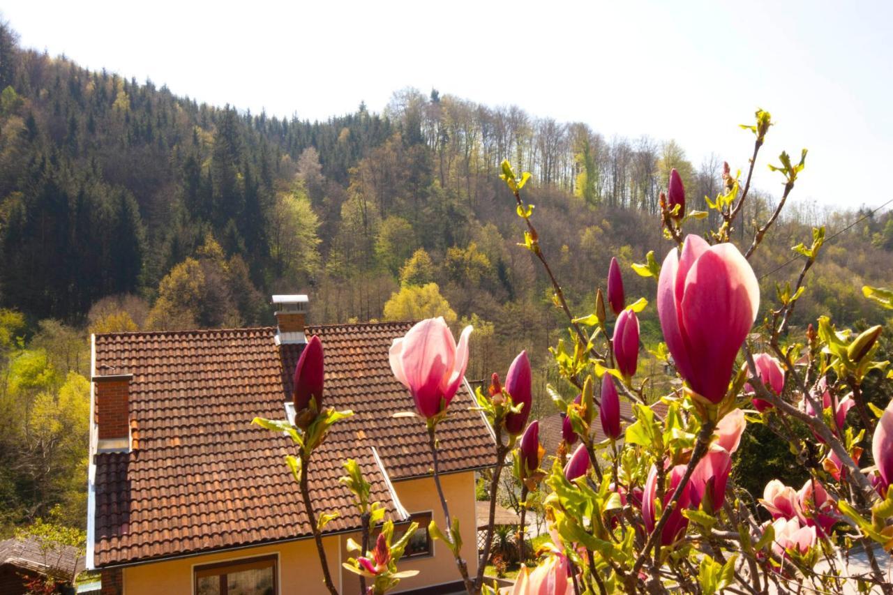 Na Kopitarjevi Hotel Laško Екстериор снимка