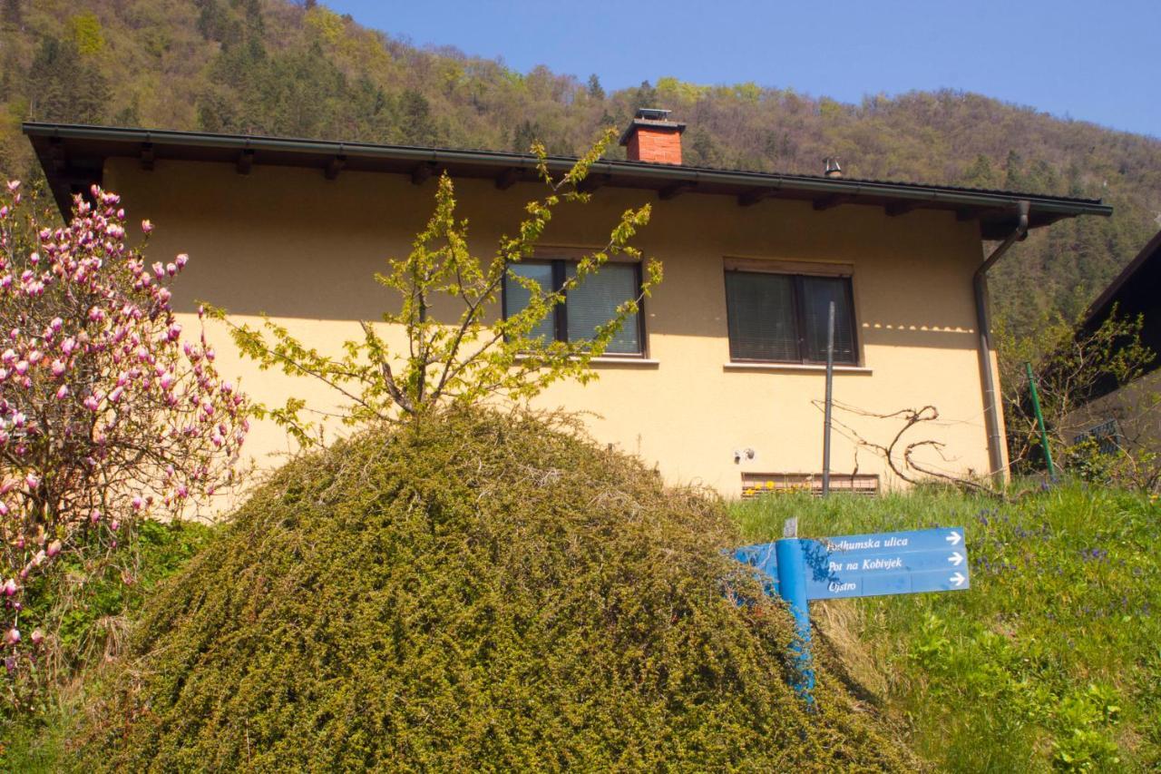Na Kopitarjevi Hotel Laško Екстериор снимка